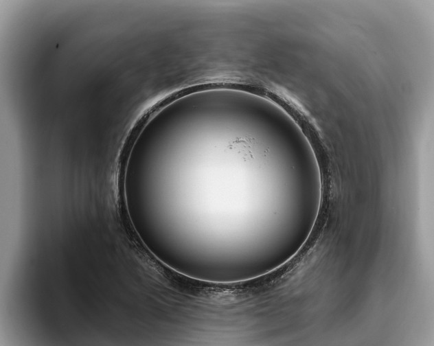 X0000093411222200710190938