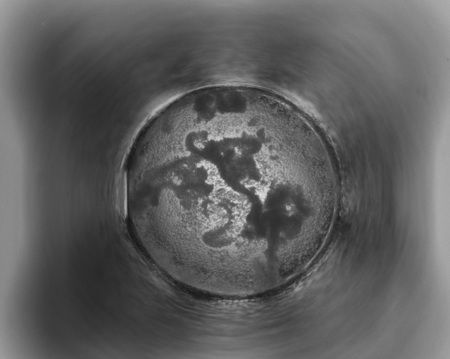 X0000093411223200710190938