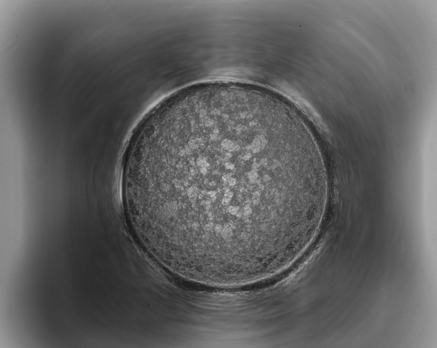 X0000093411224200710190938