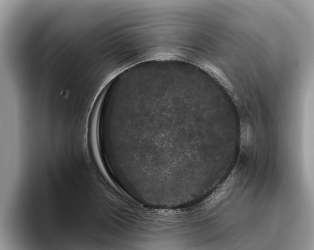 X0000093411226200710190938