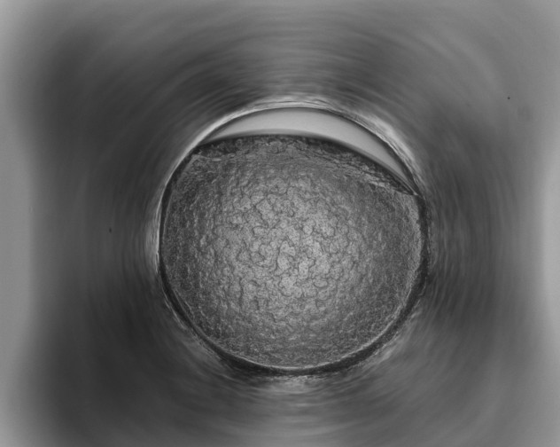 X0000093411228200710190938