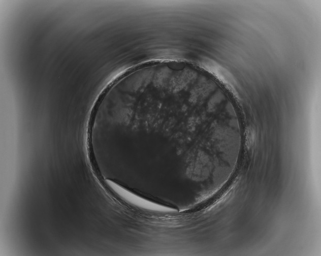 X0000093411229200710190938