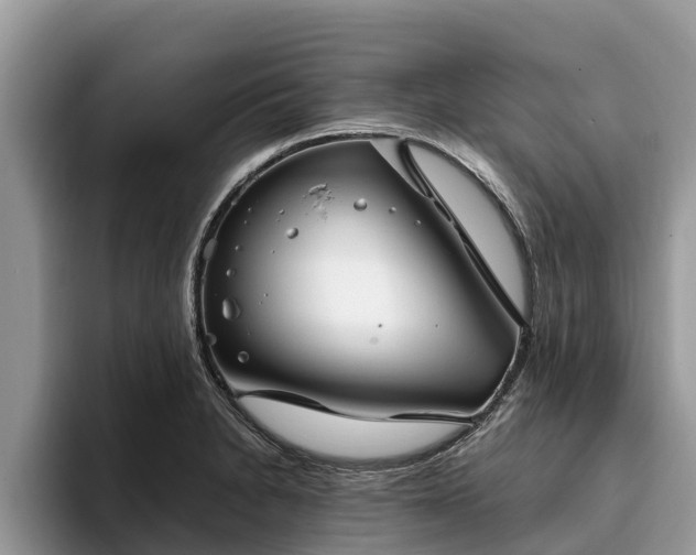 X0000093411230200710190938