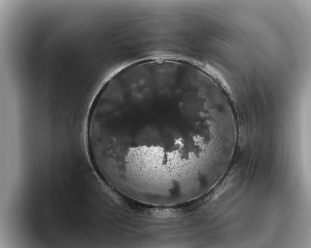 X0000093411231200710190938