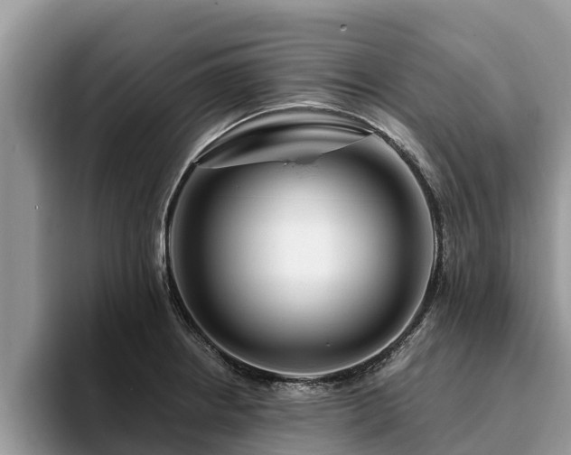 X0000093411234200710190938