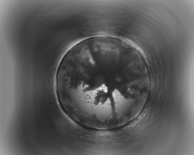 X0000093411239200710190938