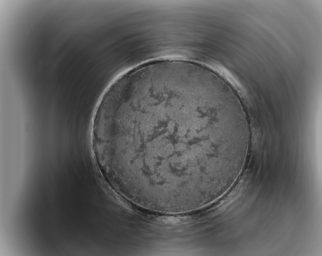 X0000093411240200710190938