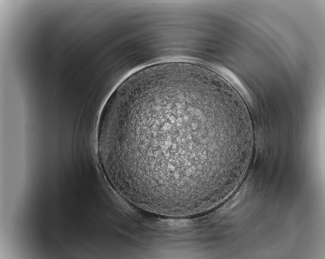 X0000093411244200710190938