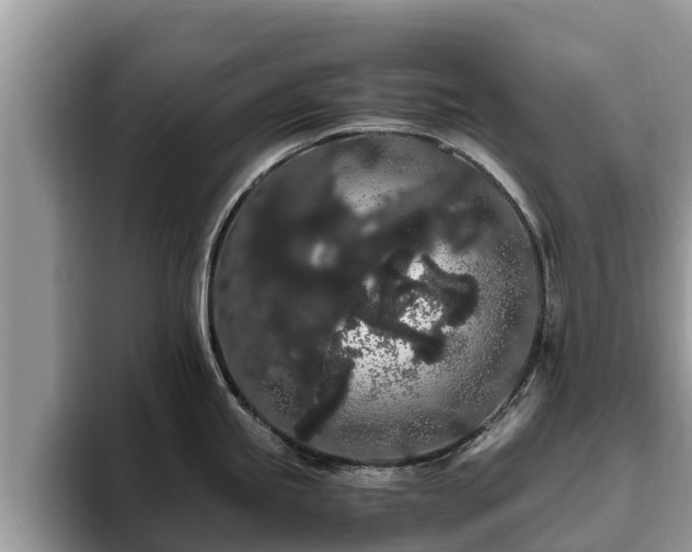 X0000093411245200710190938