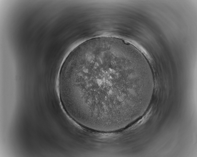 X0000093411247200710190938