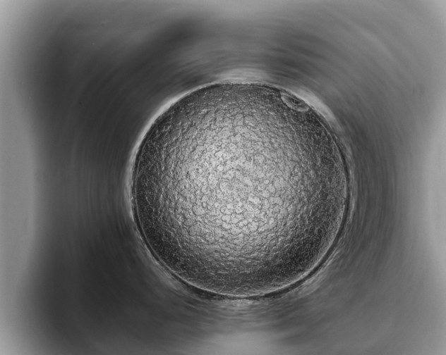 X0000093411248200710190938