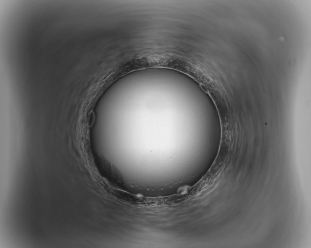 X0000093411249200710190938