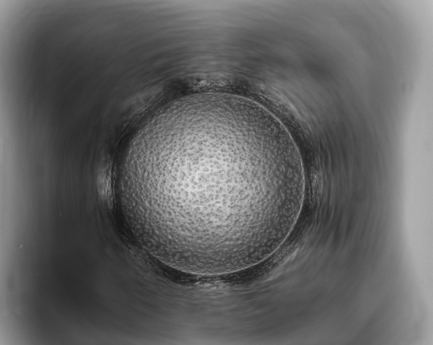 X0000093411250200710190938