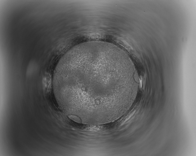 X0000093411251200710190938