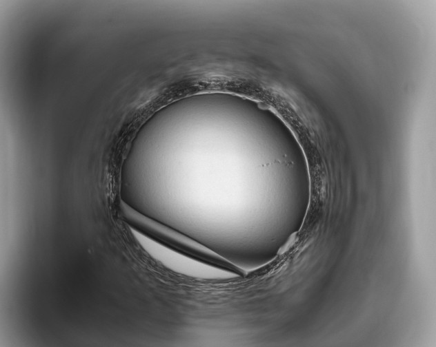 X0000093411253200710190938