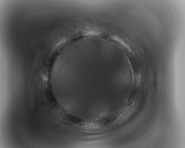 X0000093411254200710190938