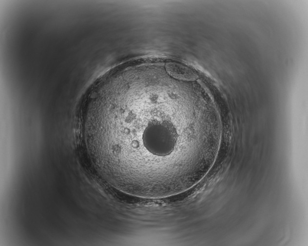 X0000093411255200710190938