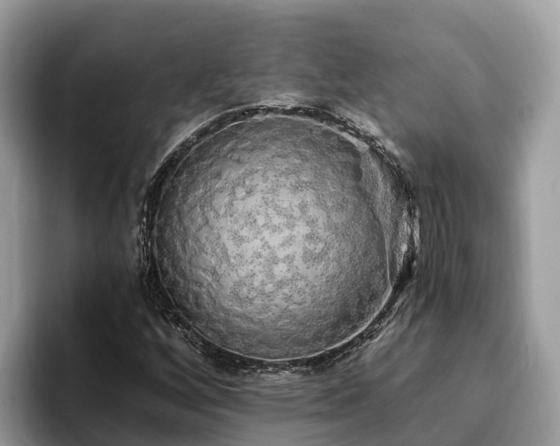 X0000093411256200710190938