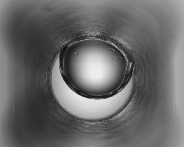 X0000093411257200710190938