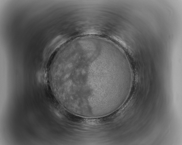 X0000093411258200710190938