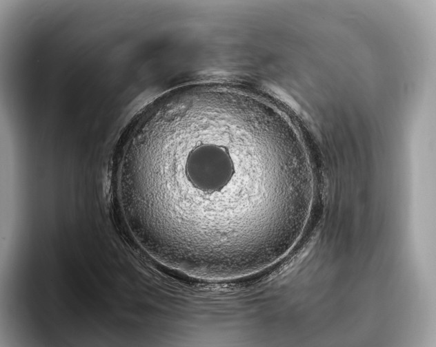 X0000093411259200710190937