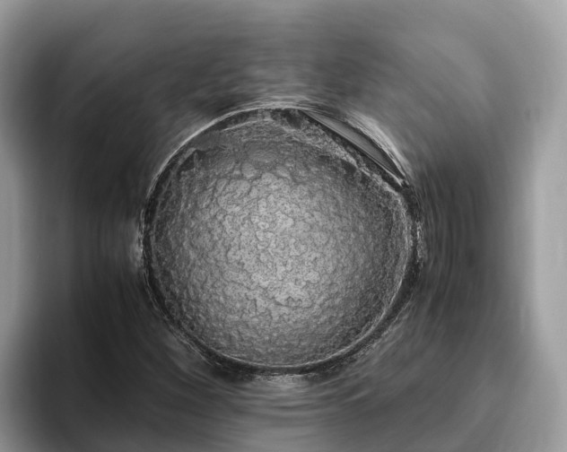 X0000093411260200710190937