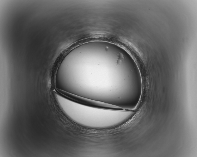 X0000093411261200710190937