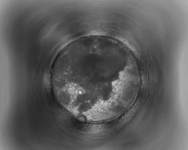 X0000093411266200710190937