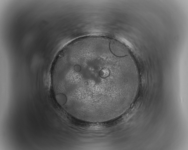 X0000093411267200710190937