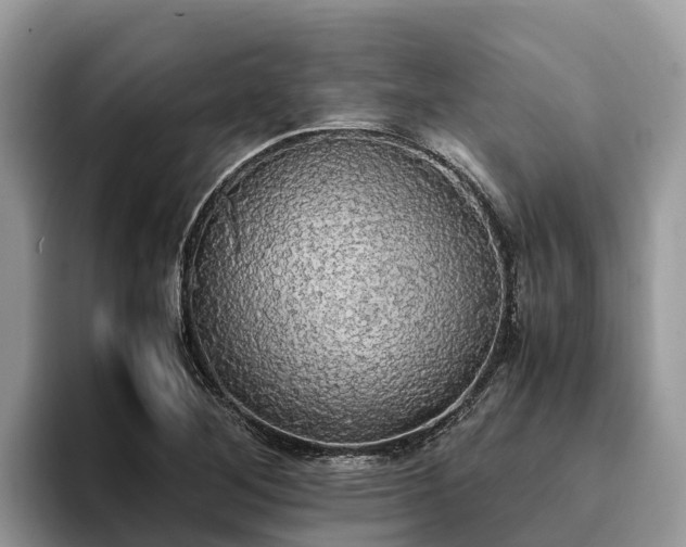 X0000093411268200710190937