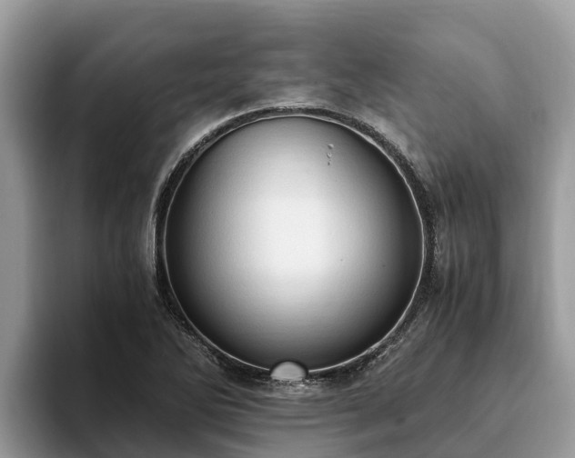 X0000093411270200710190937