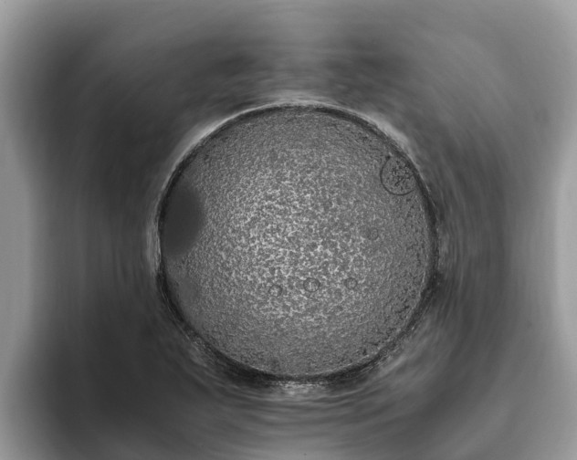 X0000093411271200710190937