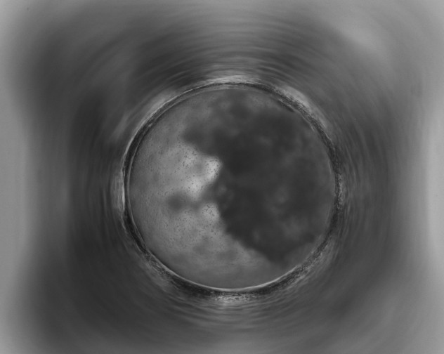 X0000093411274200710190937