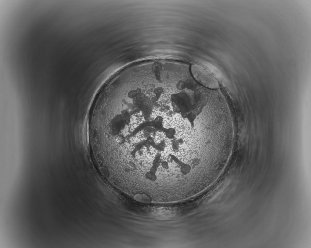 X0000093411275200710190937