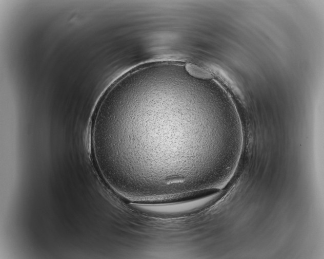 X0000093411276200710190937