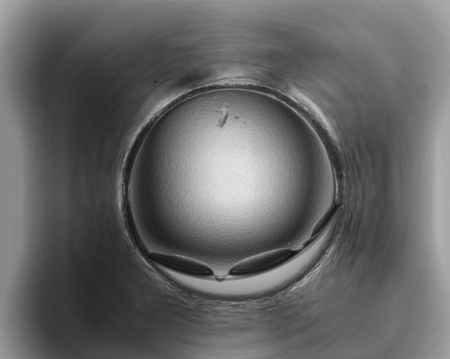 X0000093411277200710190937