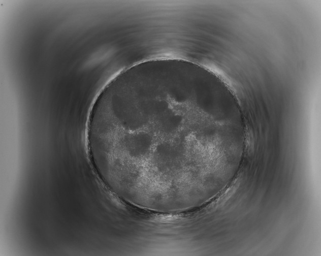 X0000093411278200710190937