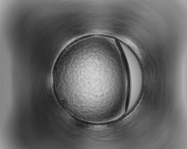 X0000093411280200710190937