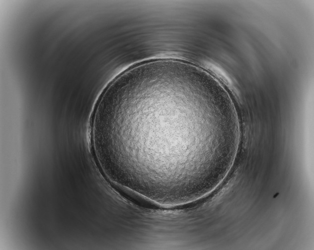 X0000093411284200710190937