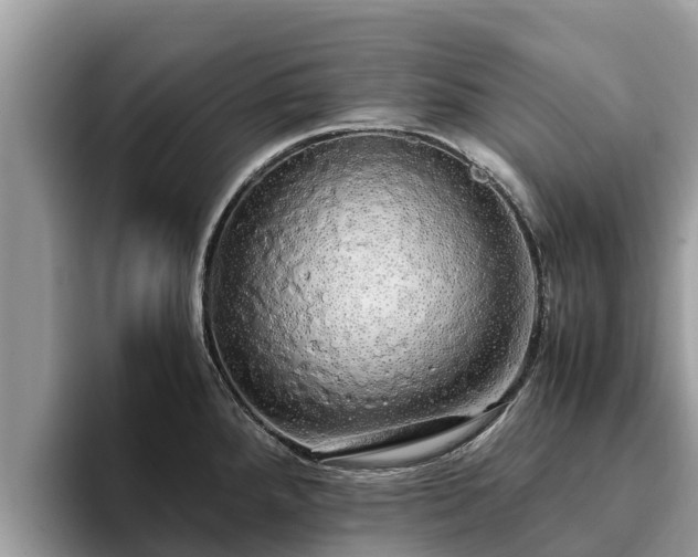 X0000093411288200710190937