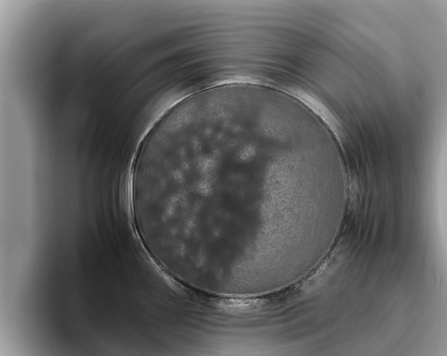 X0000093411290200710190937