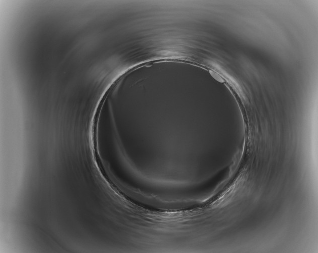 X0000093411291200710190937