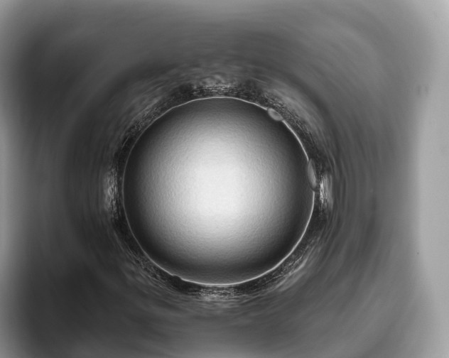 X0000093411299200710190936