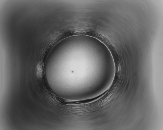 X0000093411300200710190936