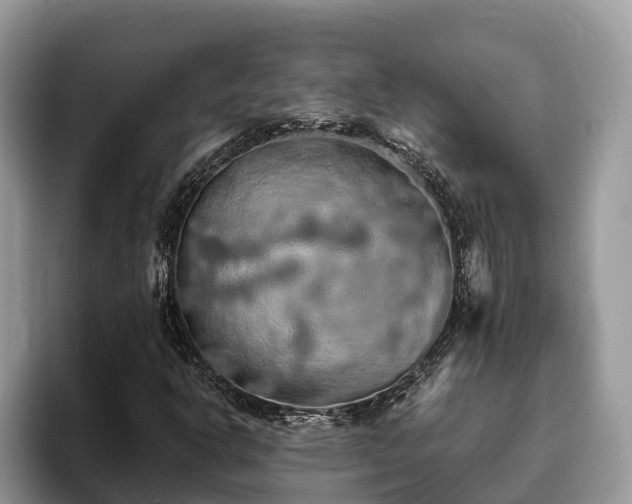 X0000093411302200710190936