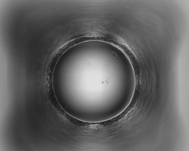 X0000093411304200710190936