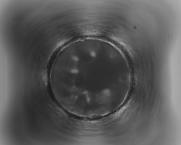 X0000093411306200710190936