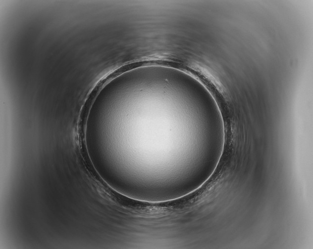 X0000093411308200710190937