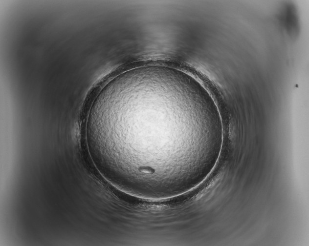 X0000093411309200710190937