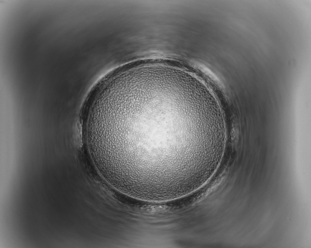 X0000093411310200710190937